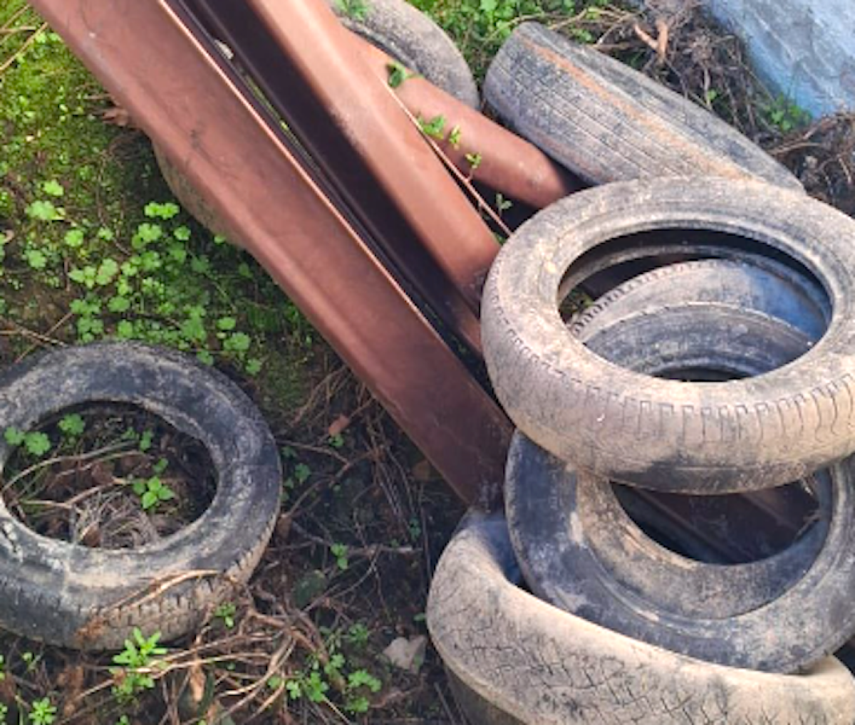 Mesoraca, riqualificazione ambientale: al via la bonifica del fiume Vergari - 