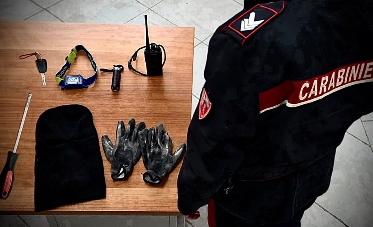 Lamezia Terme, furti nella notte: ladro si nasconde in un cassonetto e viene arrestato dai Carabinieri - 