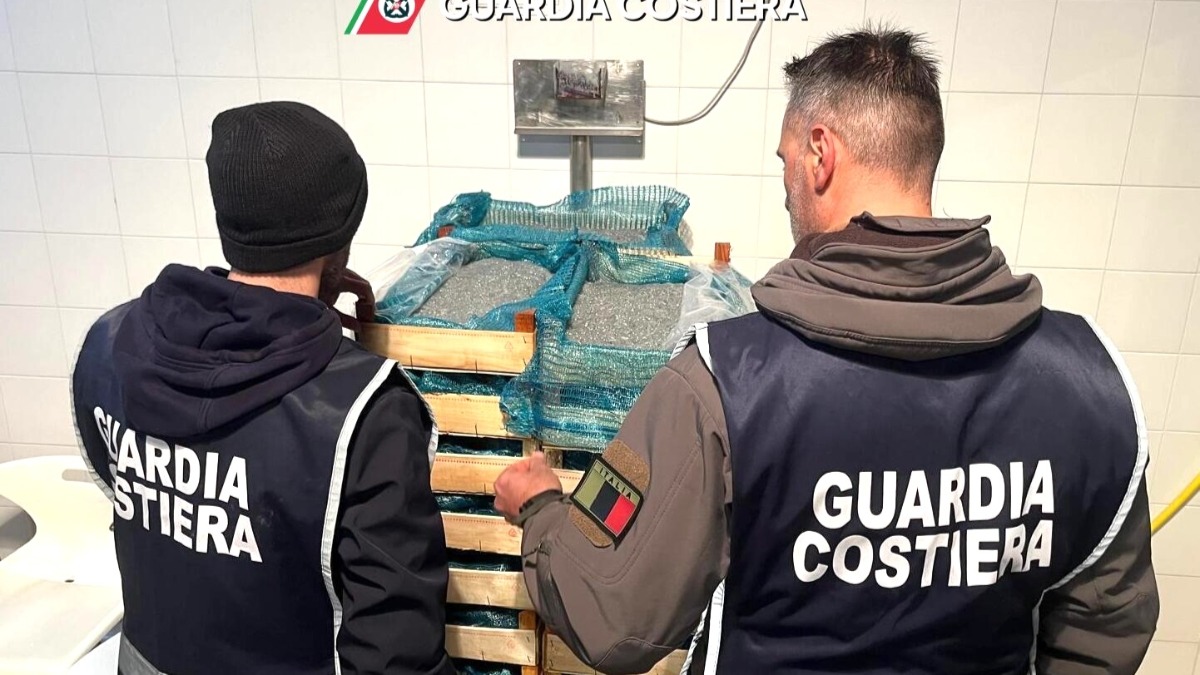 Pesca illegale di novellame di sardina: maxi sequestro della Guardia Costiera di Crotone - 