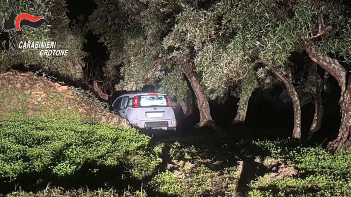(VIDEO) Tentato omicidio a Petilia Policastro, fermato un 57enne dopo una caccia all’uomo - 