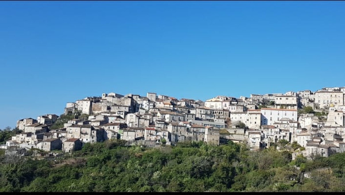 Saracena, annullata la fiaccolata in ricordo di Federica Torzullo - 