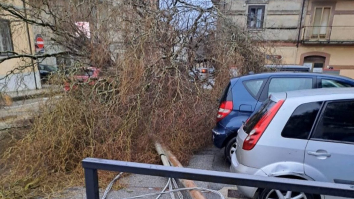 Tiriolo colpita dall’uragano Harry: alberi e pali della pubblica illuminazione caduti, viabilità deviata - 