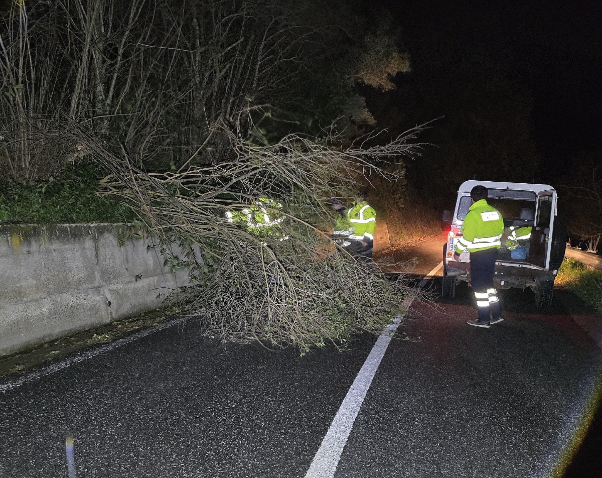 Maltempo a Falerna: attivato il COC, proseguono i monitoraggi sul territorio - 