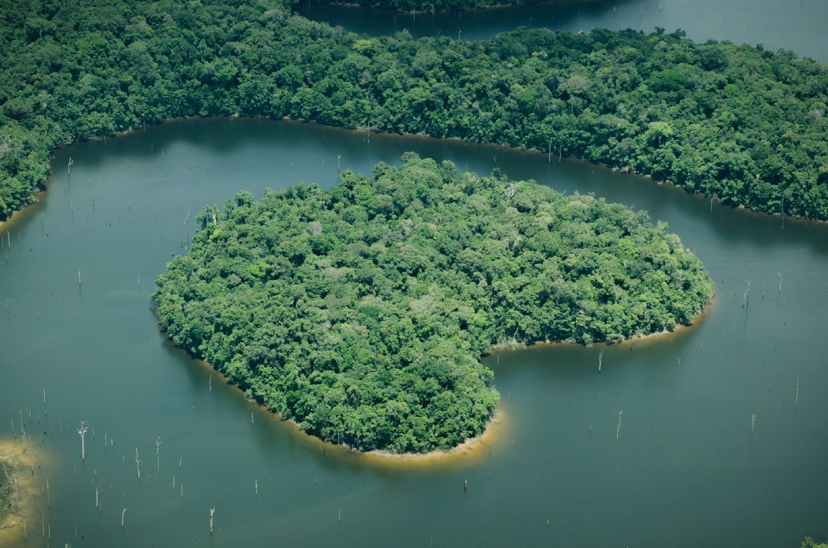 “60 anni per la Natura” con il WWF che celebra la sua fondazione  - 