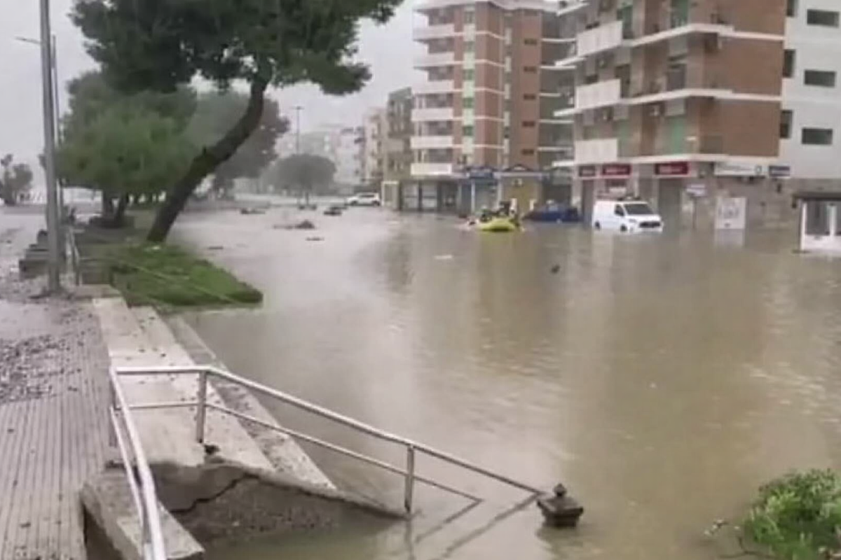Da Cosenza un gesto che supera il derby: tifosi rossoblù in campo per Catanzaro - 