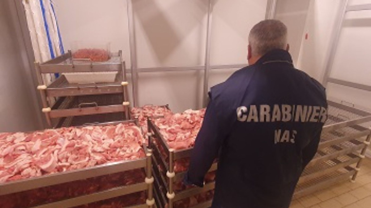 Controlli dei NAS nelle macellerie del catanzarese: sequestrata carne senza tracciabilità - 