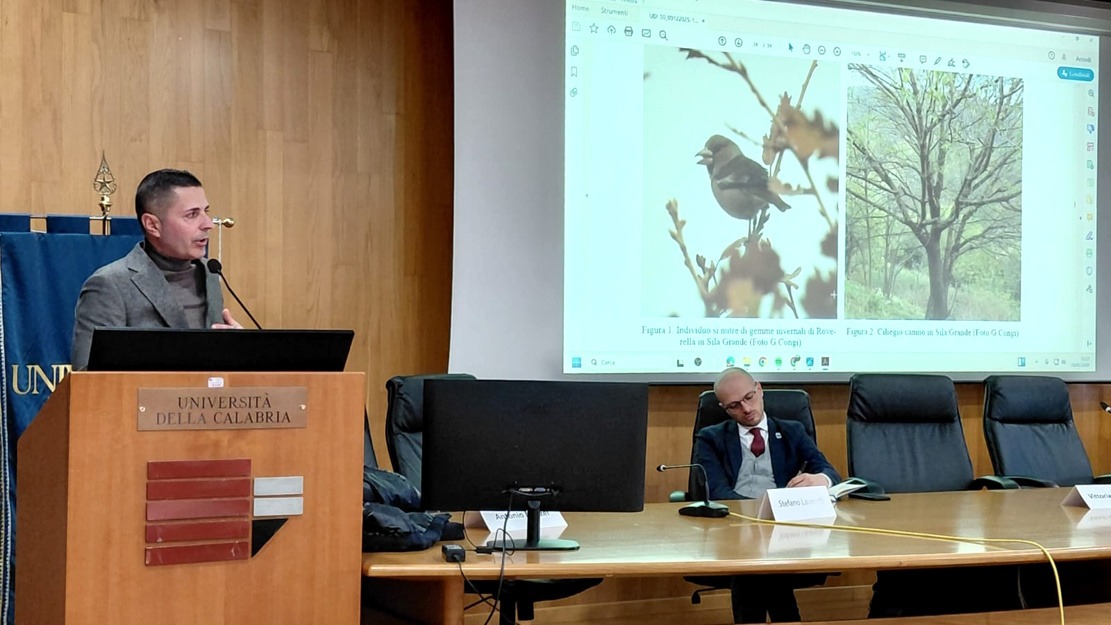 Conferenza Nazionale di Ornitologia: un successo per la Società Ornitologica Italiana - 