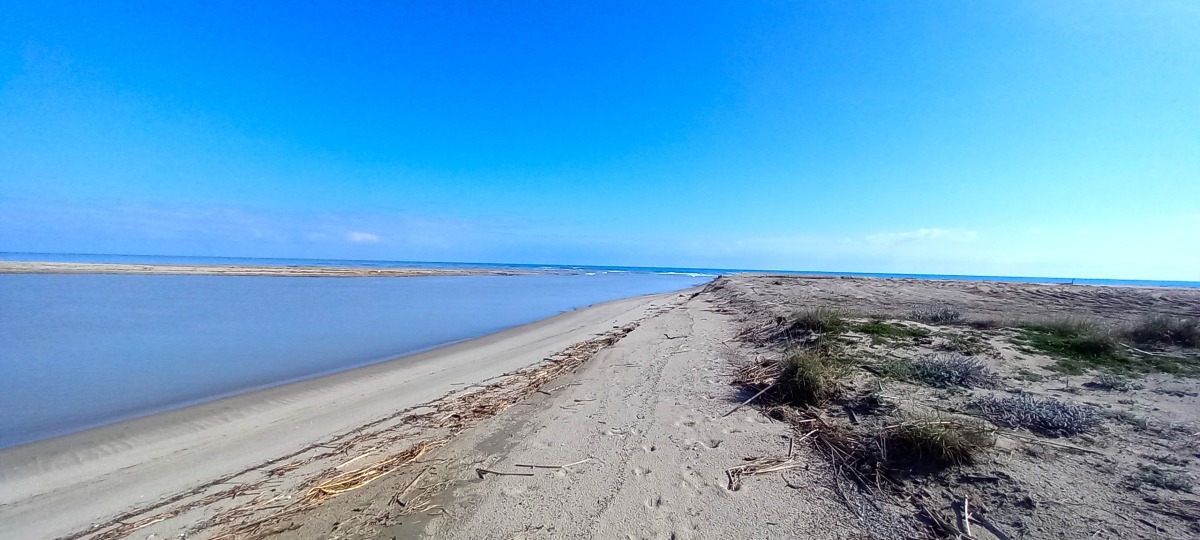 Foce del Neto, scrigno di biodiversità: il Circolo Ibis chiede una protezione più forte - 