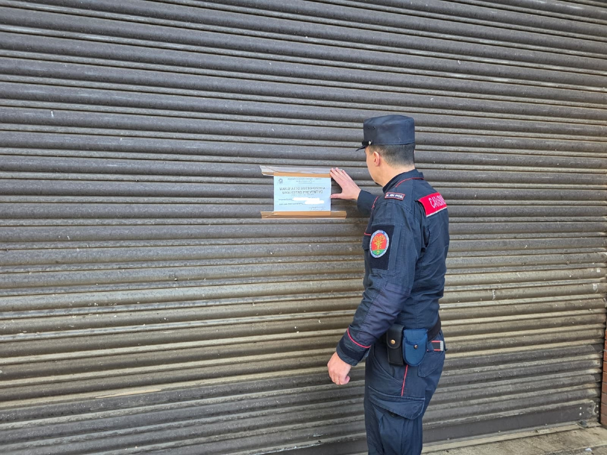 Catanzaro - Raffica di controlli nei frantoi - 