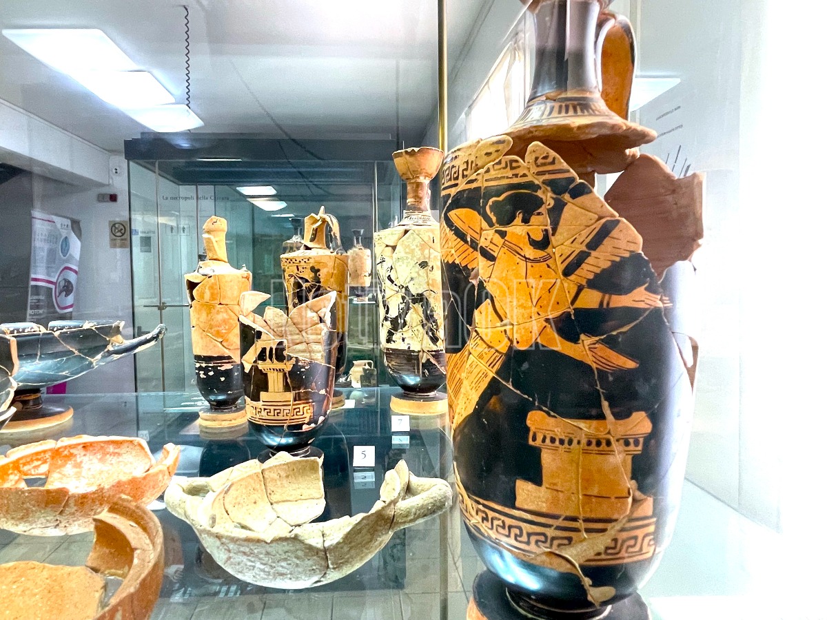 Crotone - Una domenica gratis tra i reperti del museo - 