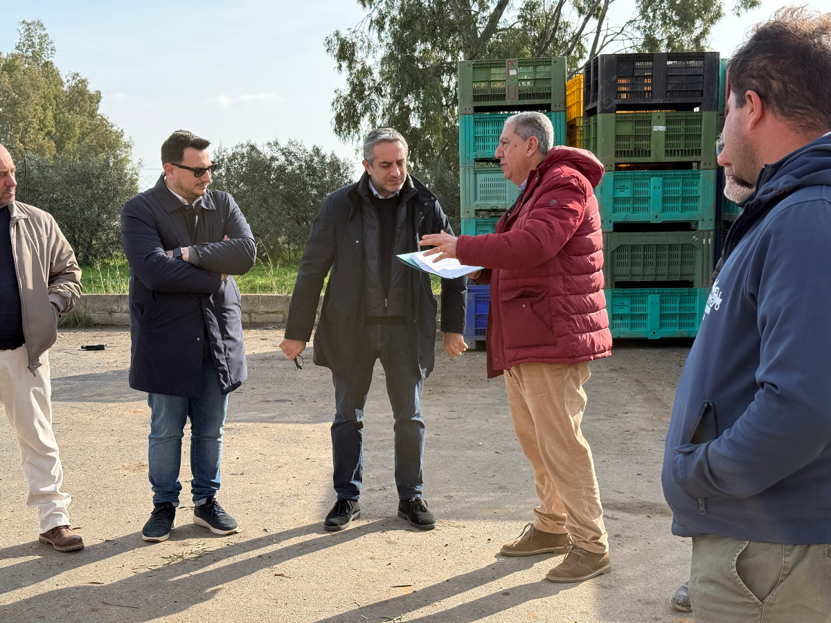 Cassano all'Ionio - Gelate di fine anno, la Giunta attiva lo stato di calamità - 