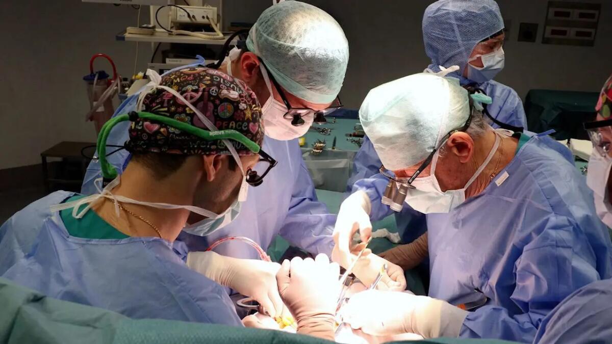 Chirurgia vascolare, il San Raffaele di Milano pioniere della mininvasività - 