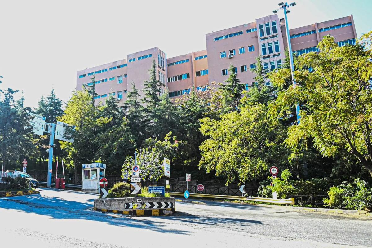 Al Grande Ospedale Metropolitano di Reggio Calabria eseguito il primo trapianto renale da donatore cadavere del 2026 - 