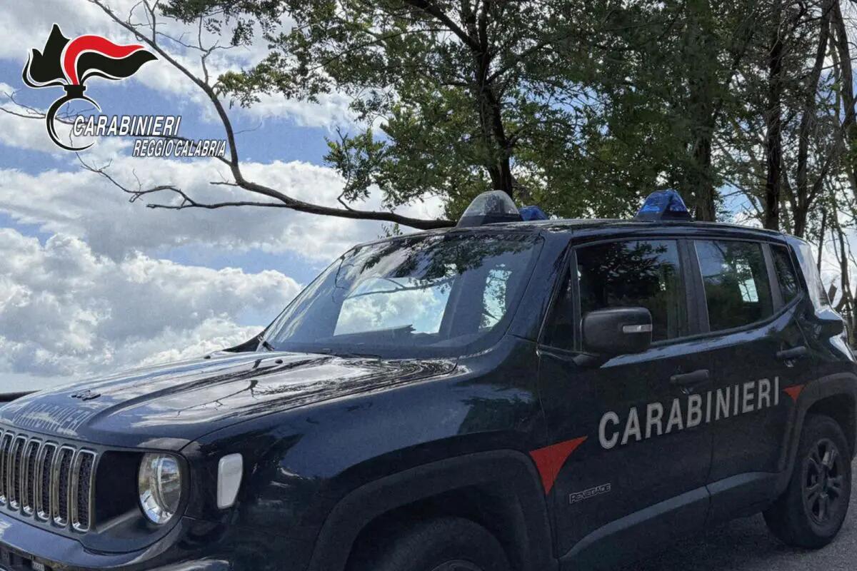 Pesce venduto dal bagagliaio dell’auto, denunciato un ambulante nel Reggino - 