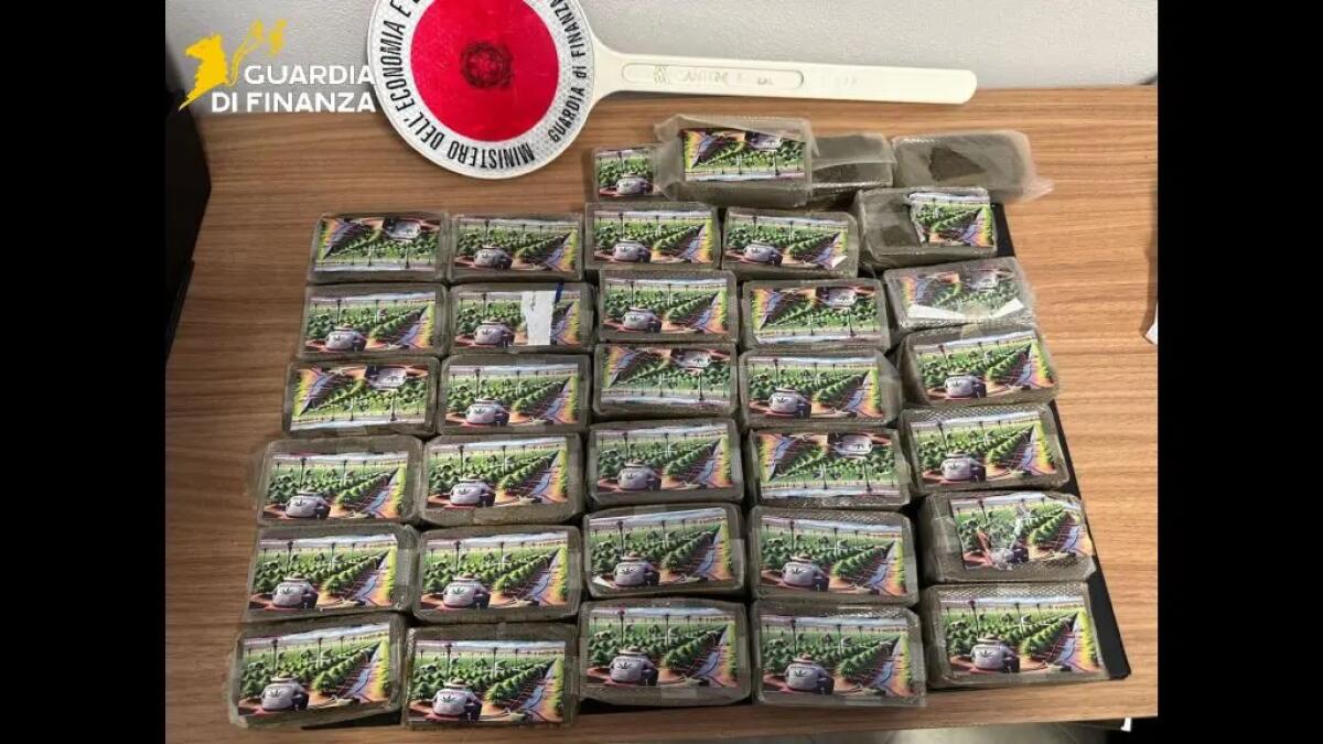 La droga viaggiava sui social e nei pacchi postali, blitz a Palermo con 11 arresti - 