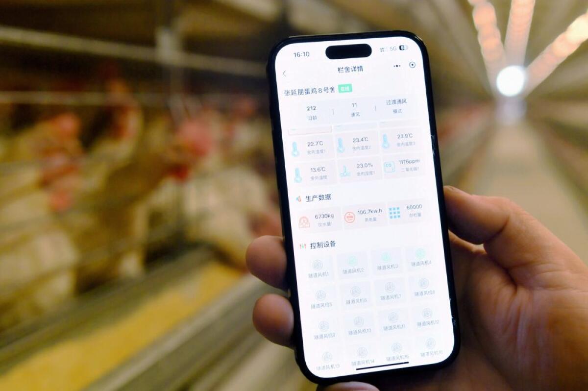 La Cina crea un sistema di registrazione per i diritti di proprietà dei dati - 