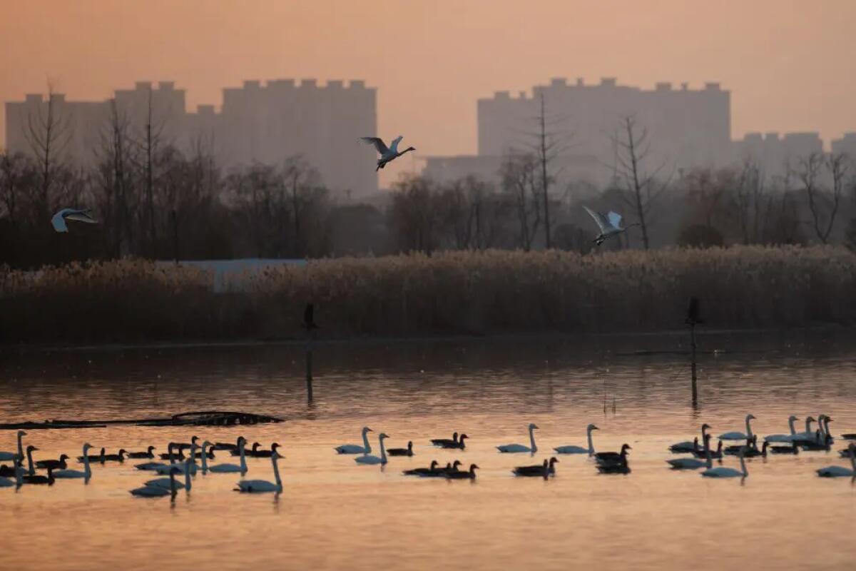 Ambiente, migliorano i parametri in Cina nel 2025 - 