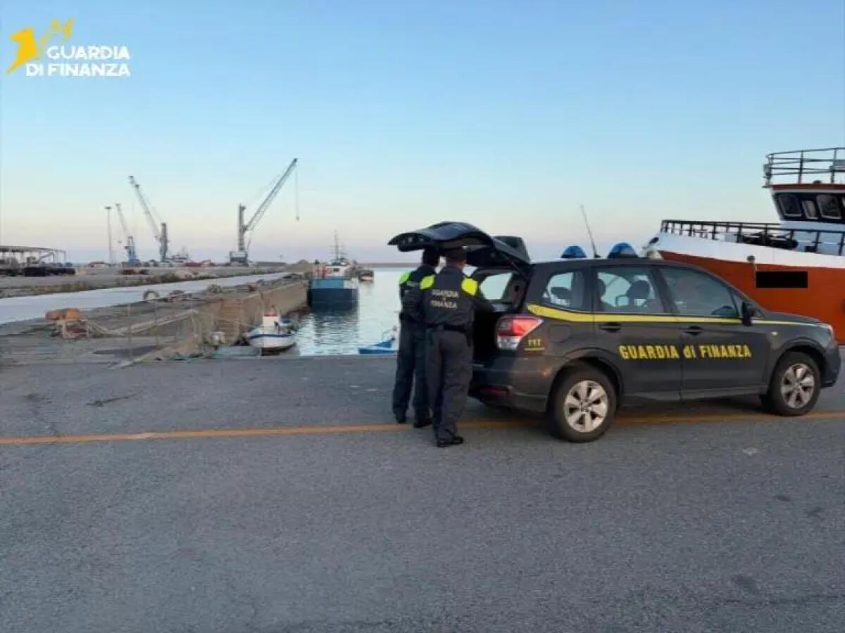 Sequestrati 25 kg di novellame di sarda, pescatore multato nel Crotonese - 