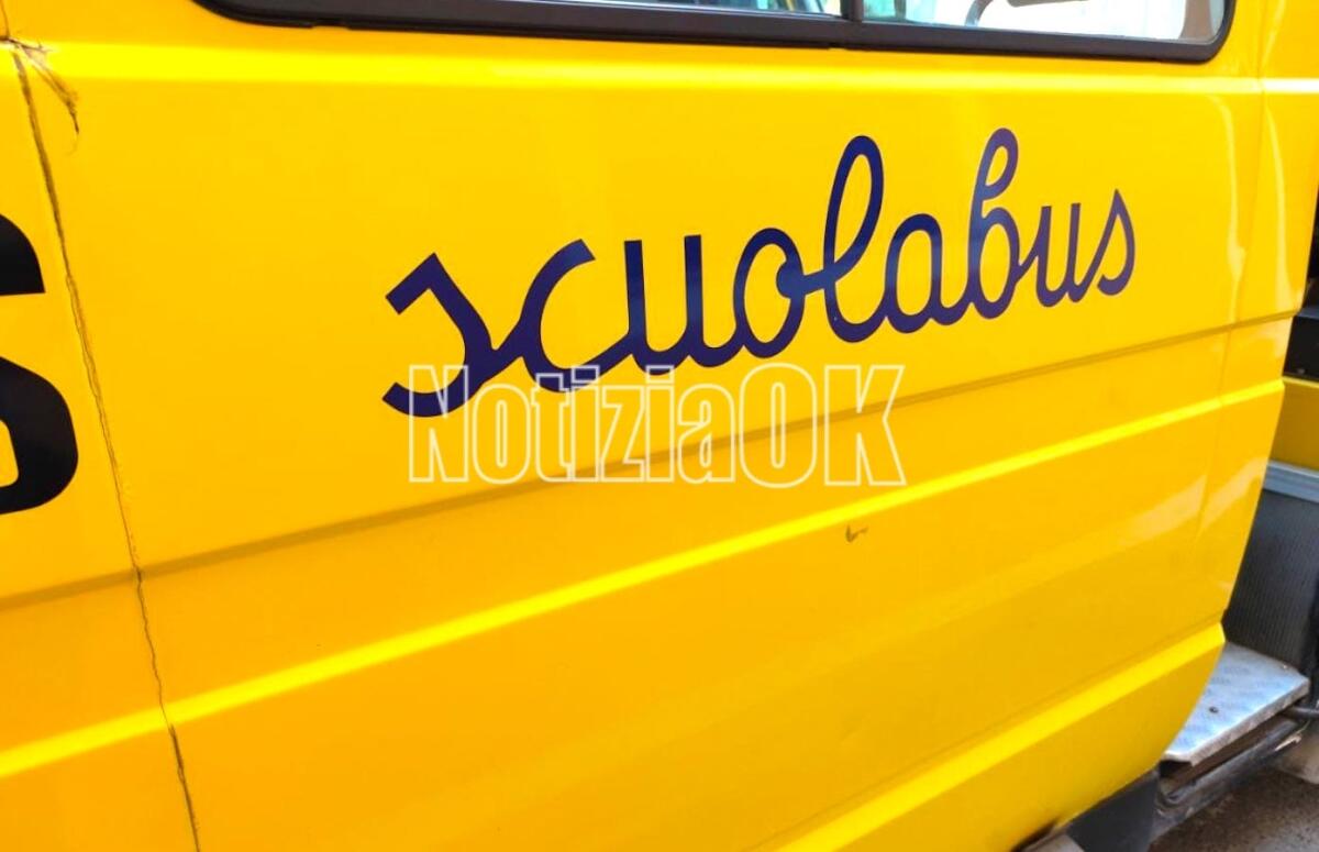 Attivo il servizio di trasporto scolastico per studenti con disabilità a Sersale - Redazione