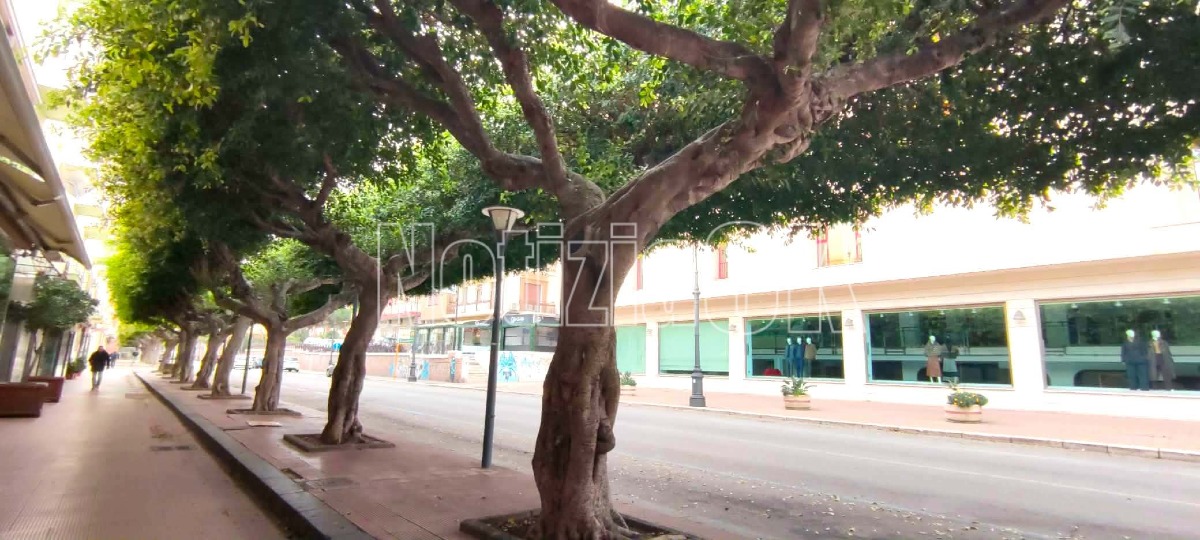 Crotone, istituiti 34 stalli di sosta per motocicli e ciclomotori nelle aree centrali - Foto: Redazione