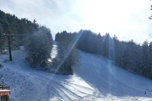 Dog on the Snow, la Sila tra sport, cani e sapori autentici - 