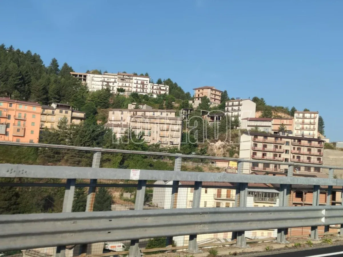 S.s. 108 Bis "Silana di Cariati", disagi per alberi e rami sulla carreggiata  - 