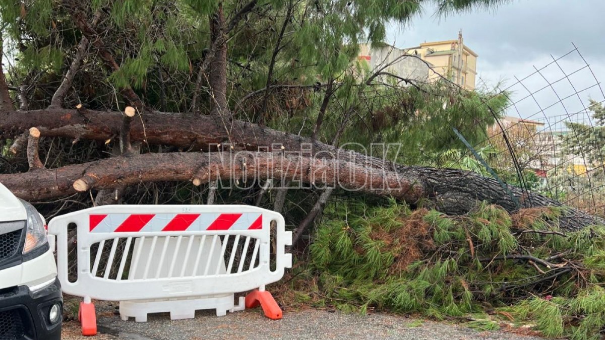 Crotone e provincia travolte da vento e pioggia, disagi e danni in città - 