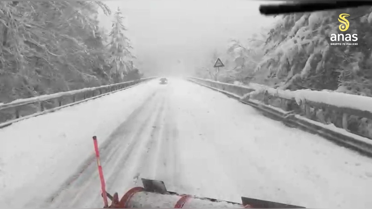 Riaperta la SS108bis a San Giovanni in Fiore dopo la rimozione di alberi pericolanti - 