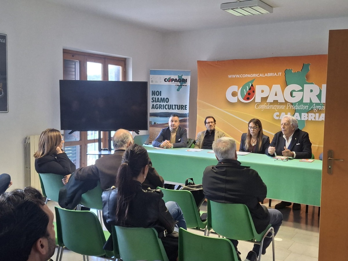 Lamezia Terme, Copagri Calabria sollecita interventi su zootecnia, bonifiche e crediti di carbonio - 