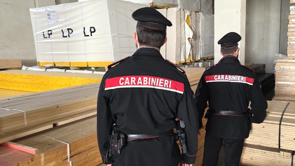 Controlli su lavoro e sicurezza stradale: sanzioni e sospensioni nel catanzarese - 