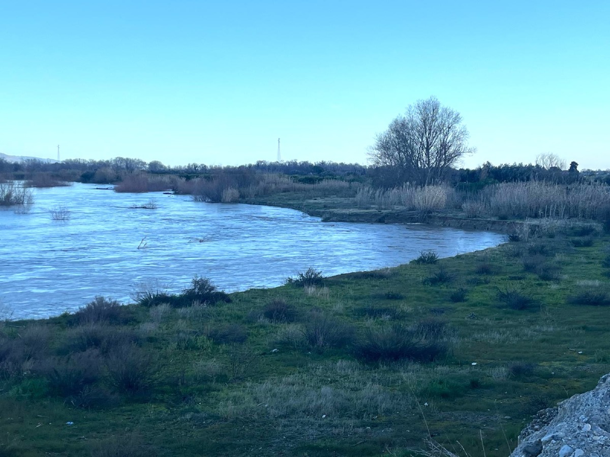 Fiume Crati a rischio esondazione, Stasi: “Serve intervento urgente della Regione” - 