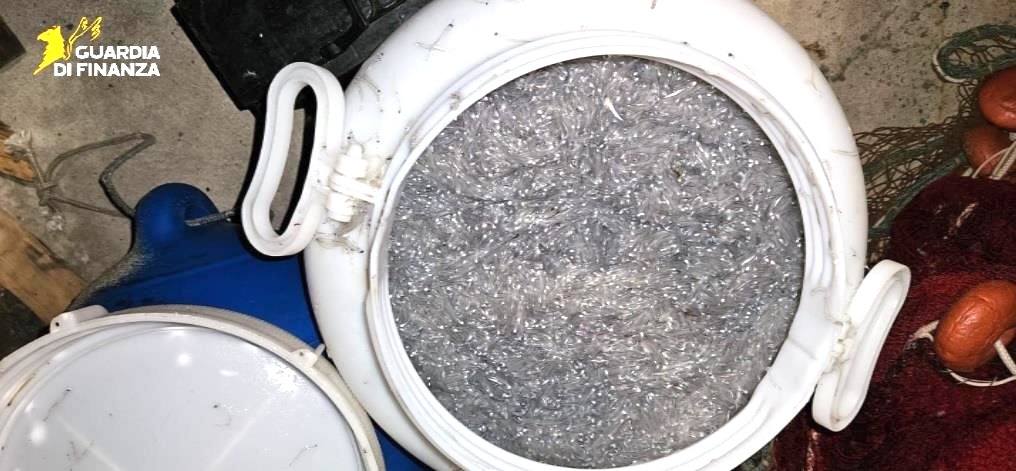 Sequestrati 22 kg di novellame a Strongoli Marina, sanzione da 1.500 euro - 