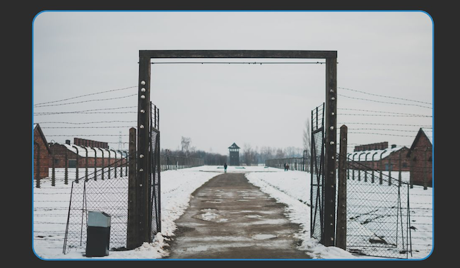 Memorie negate: a Cosenza l’Olocausto dimenticato di rom e sinti - 