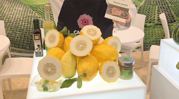 La Riviera dei Cedri e il Cedro protagonisti a Berlino a Fruit Logistica - 