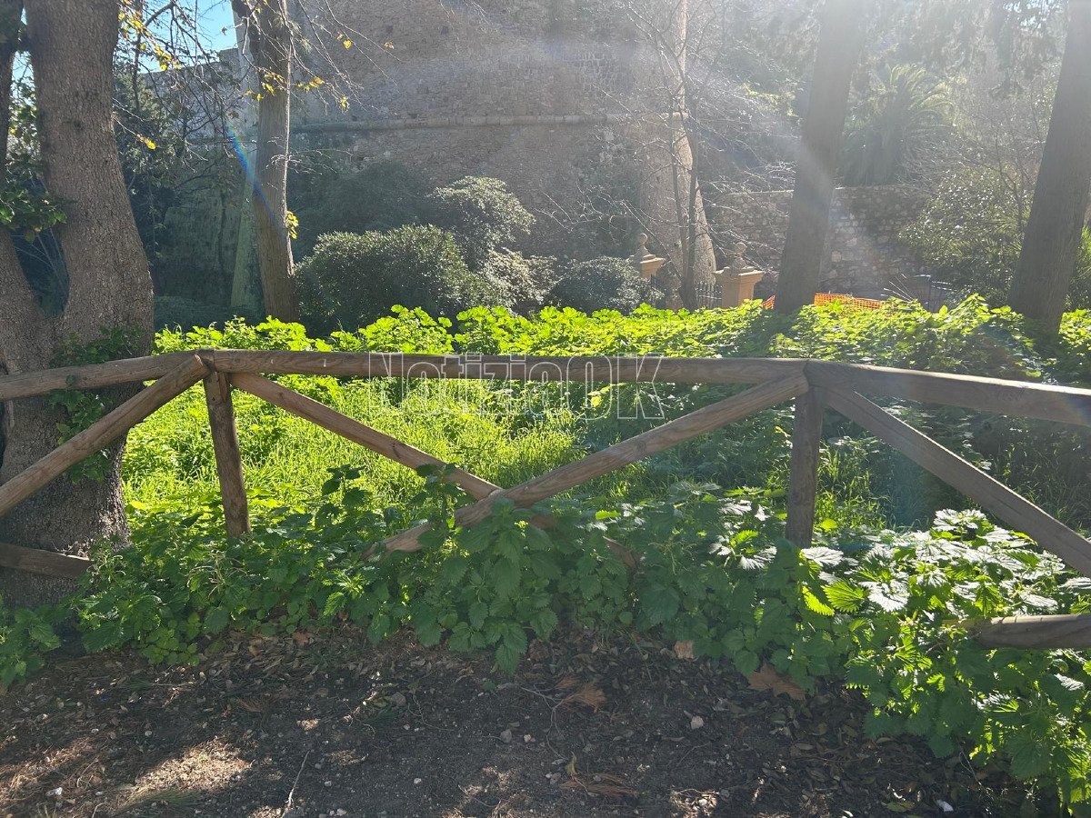 (Foto) Nei quartieri di Crotone: qualcuno si ricordi della Villa Comunale - 