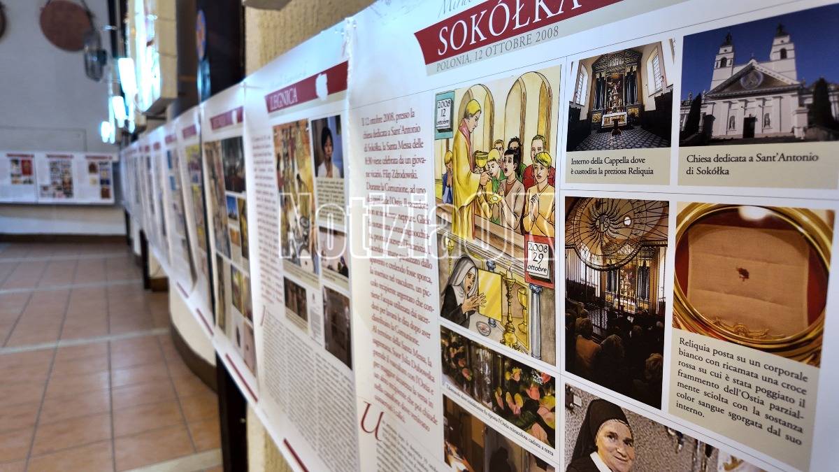 Mostra dei Miracoli Eucaristici a Crotone, progetto di San Carlo Acutis - 