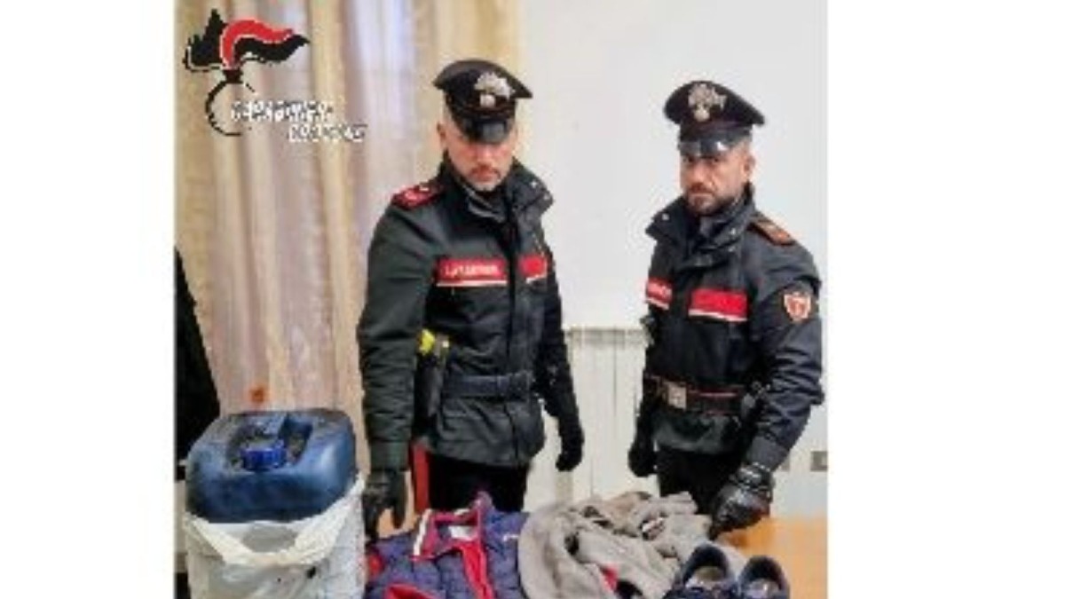 Crucoli – Furto di mezzi e carburante, individuato il presunto responsabile dai Carabinieri - 