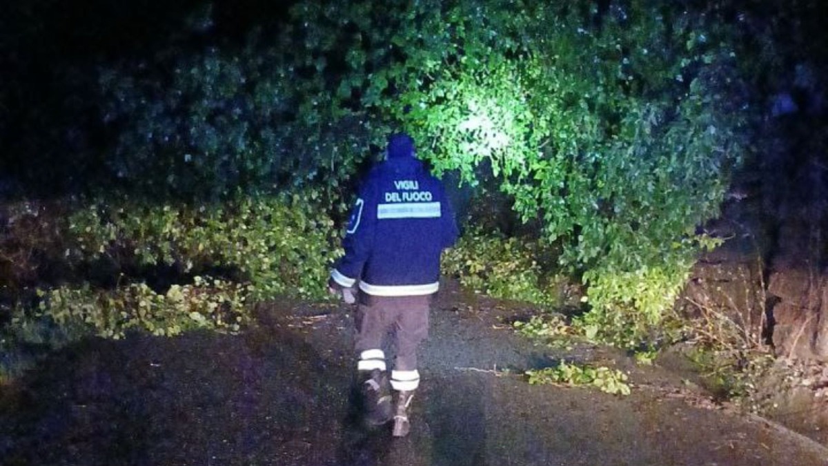 Vibo Valentia travolta dal vento, oltre 80 interventi dei Vigili del Fuoco in 24 ore - 