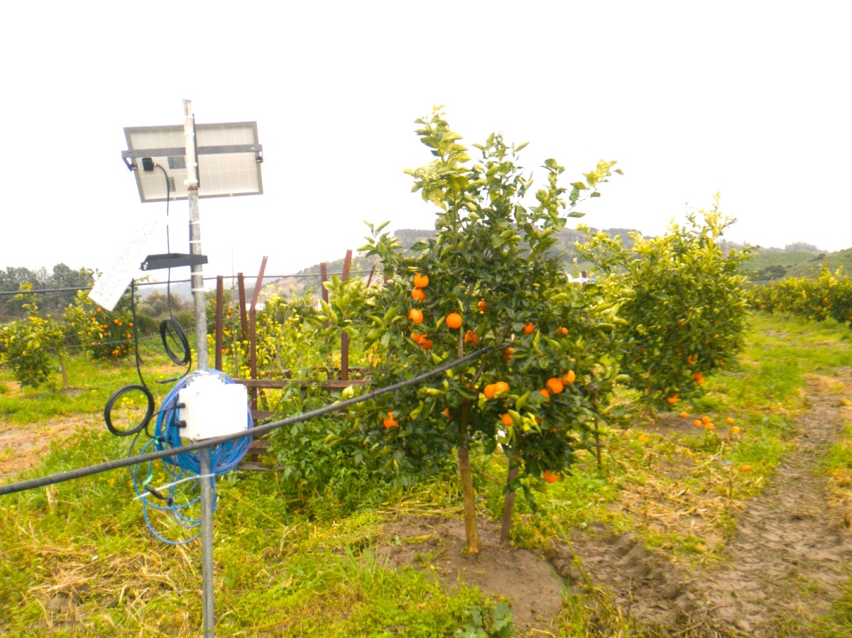 L’Agricoltura 5.0 sbarca nel Crotonese: Caratozzolo guida la rivoluzione tech - 