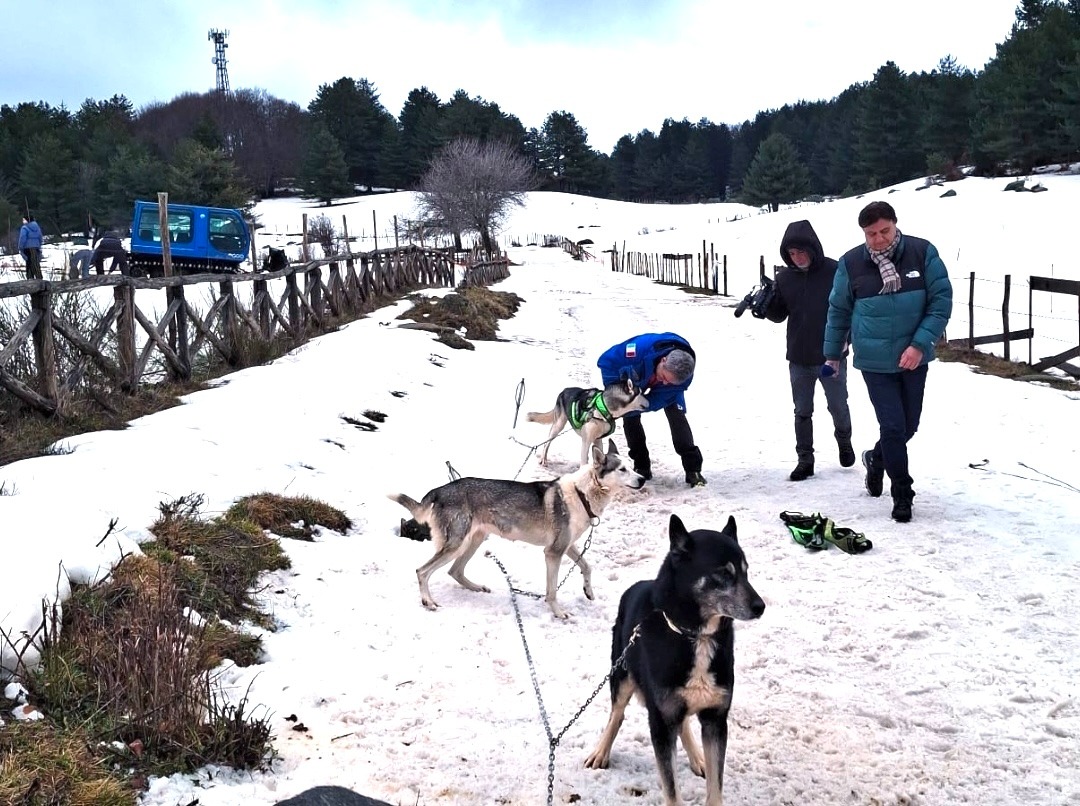 Dog on the Snow, emozioni tra neve, natura e amici a quattro zampe in Sila - Foto Ufficio Stampa 
