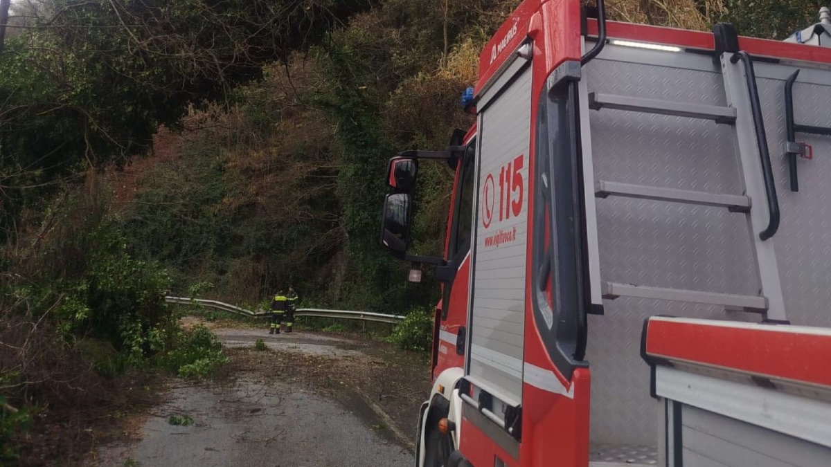 Maltempo in Calabria: oltre 40 interventi dei Vigili del Fuoco a Vibo Valentia - 