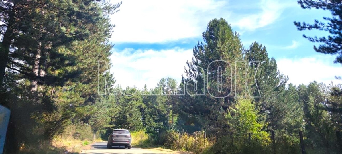 Il Piano per il Parco Nazionale del Pollino è stato ufficialmente pubblicato ed entra in vigore - Foto: Redazione