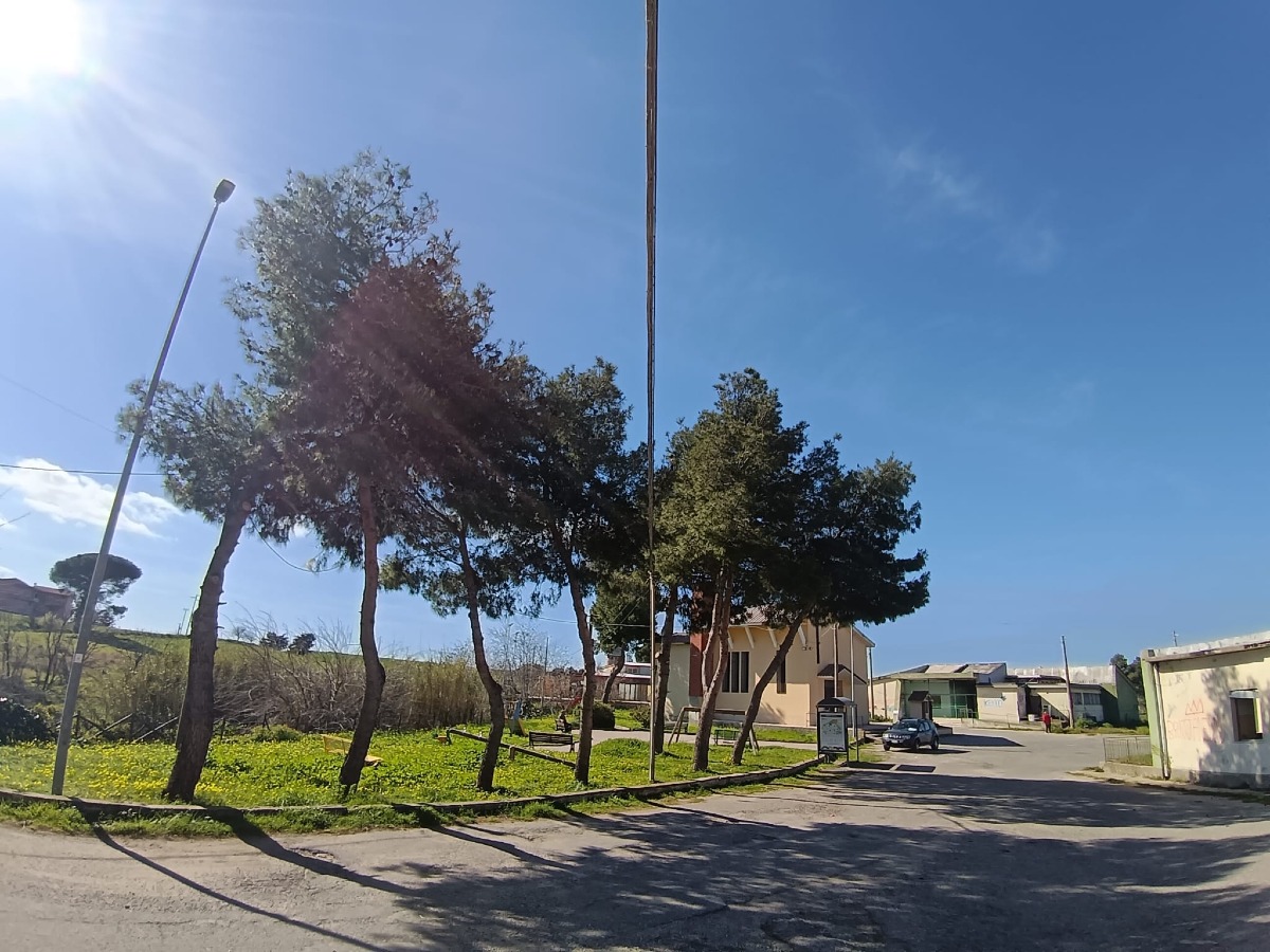 Crotone - Processionaria e giochi pericolosi ad Apriglianello - Foto: Enrico Pedace