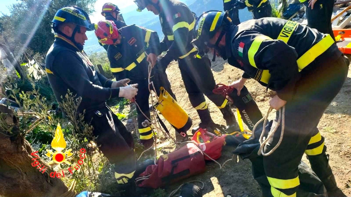 Incidente stradale: automezzo finisce in una scarpata a Catanzaro - Foto: Uff. Stampa Comando dei Vigili del Fuoco di Catanzaro