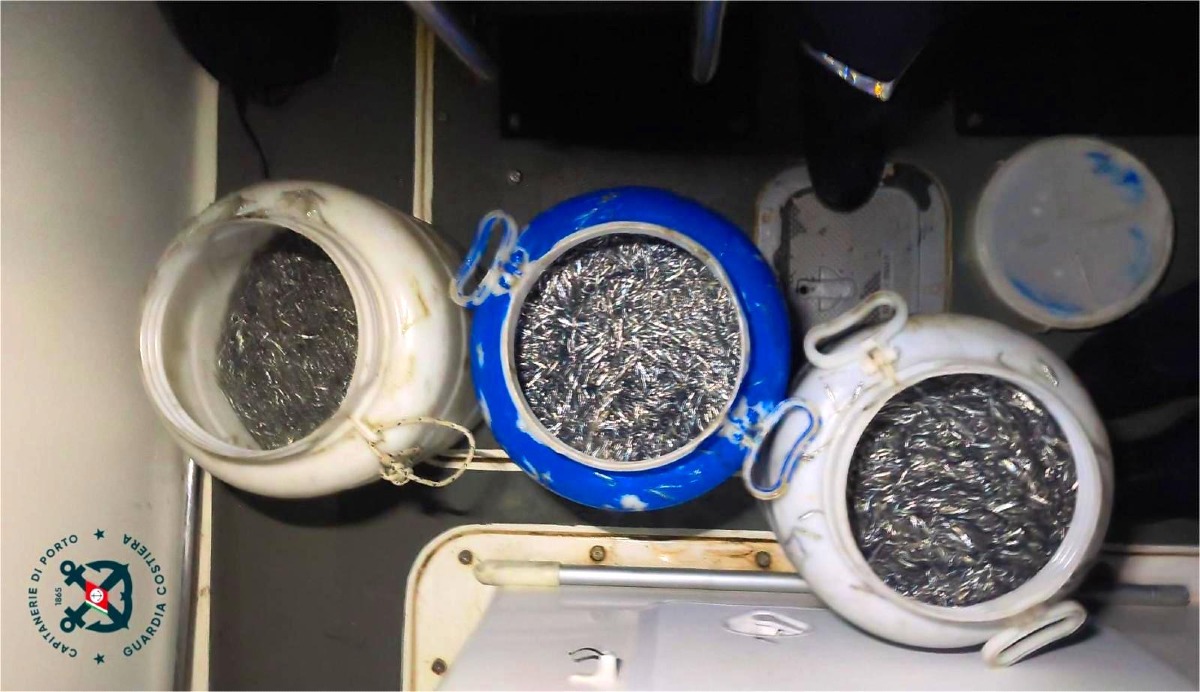 Pesca illegale a Crotone: sequestrati 90 kg di novellame di sardina e attrezzi illegali - Foto: Uff. Stampa Guardia Costieria