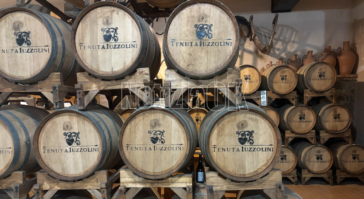 Cirò Marina - Il Donna Giovanna premiato come "Miglior Vino Bianco d’Italia" - Foto: Redazione