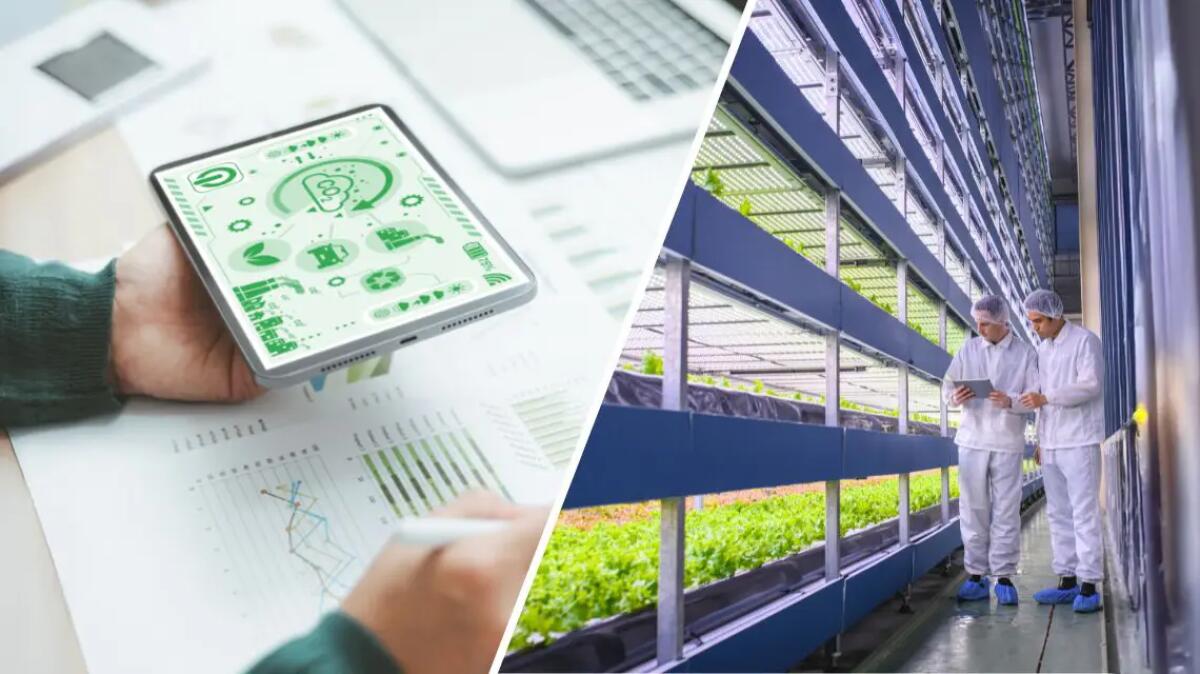 ENEA DRG4FOOD, uso di dati e digitale per migliorare sicurezza e sostenibilità dell’agroalimentare - 