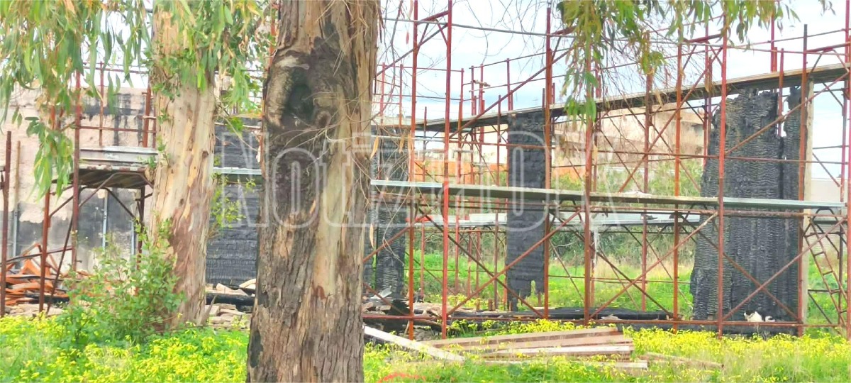 Isola di Capo Rizzuto - Scuola Villa Ilice - Redazione - 30.01.2026