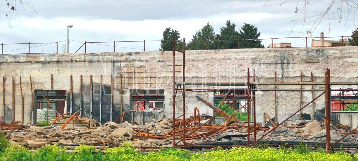 Isola di Capo Rizzuto - Scuola Villa Ilice - Redazione - 30.01.2026