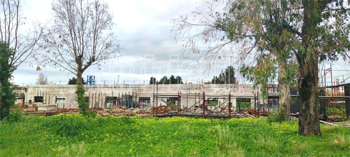 Isola di Capo Rizzuto - Scuola Villa Ilice - Redazione - 30.01.2026